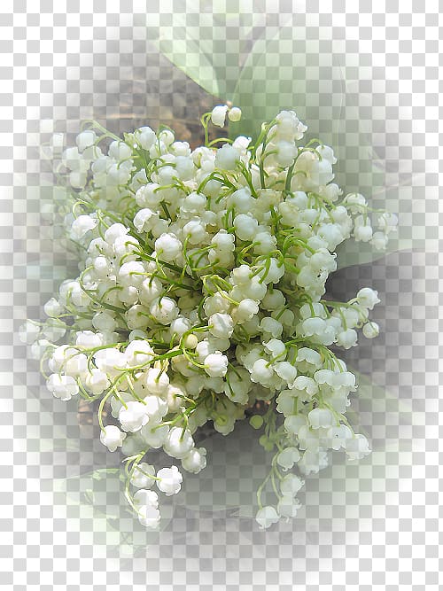 Floral design Flower bouquet 1 May Lily of the valley, flower transparent background PNG clipart