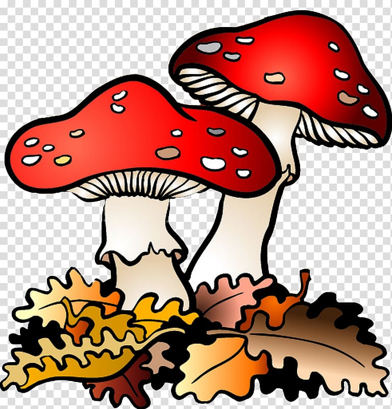 Fungus Drawing Natural environment Mushroom , natural environment transparent background PNG clipart