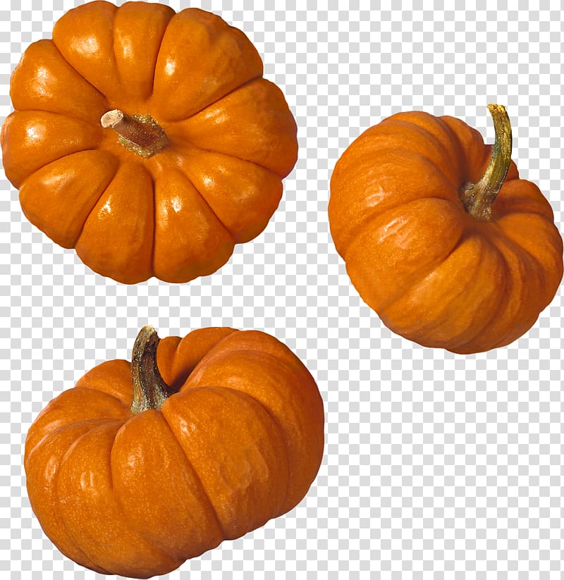 Pumpkin transparent background PNG clipart