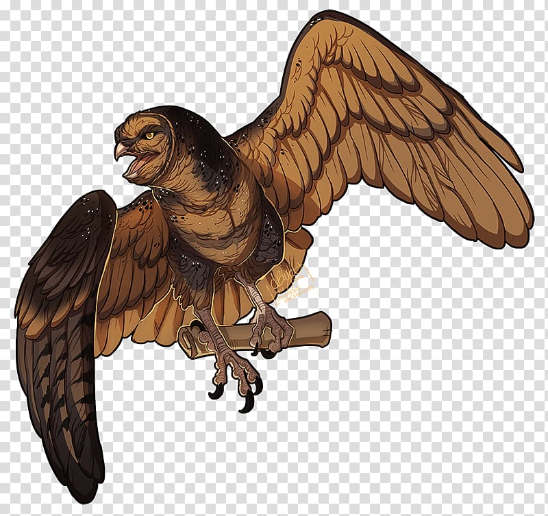 Eagle Hawk Beak Christmas Falcon, eagle transparent background PNG clipart