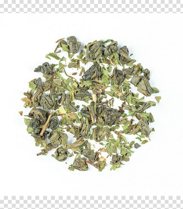 Green tea Gunpowder tea English breakfast tea Sencha, green tea transparent background PNG clipart
