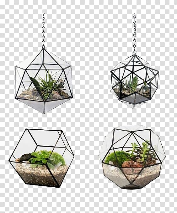 two white hanging lamps, Flowerpot Terrarium Glass Android, Plant potted wall transparent background PNG clipart