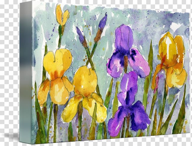 Irises Painting Water Lilies Crocus Iris pseudacorus, Watercolor iris transparent background PNG clipart