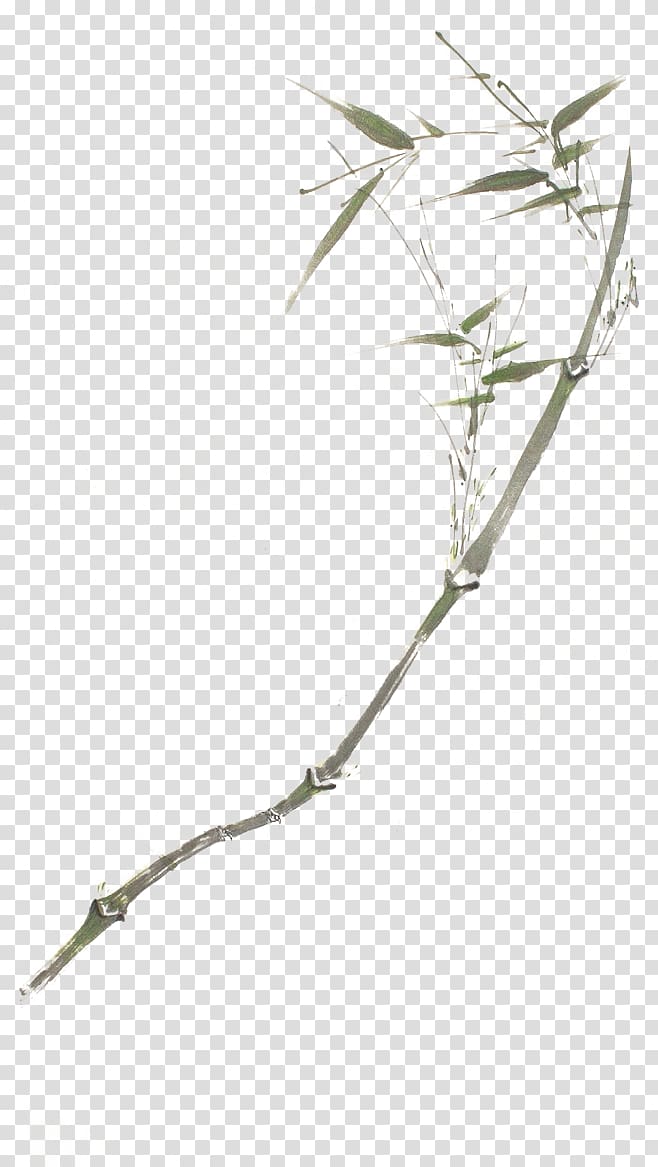 Chinese painting Painter Gongbi Art, Hand-painted bamboo transparent background PNG clipart