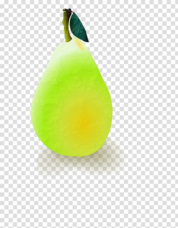 Drawing Williams pear, pear transparent background PNG clipart