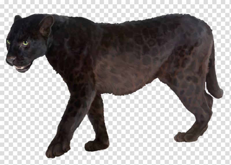 Leopard Jaguar Black panther , black panther transparent background PNG clipart
