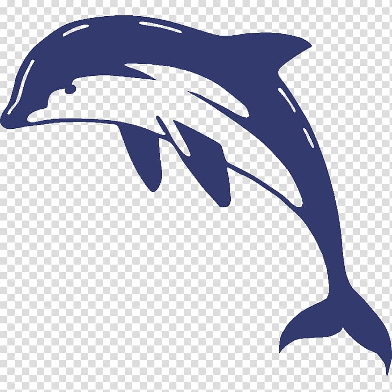 Wall decal Sticker Dolphin, dolphin transparent background PNG clipart