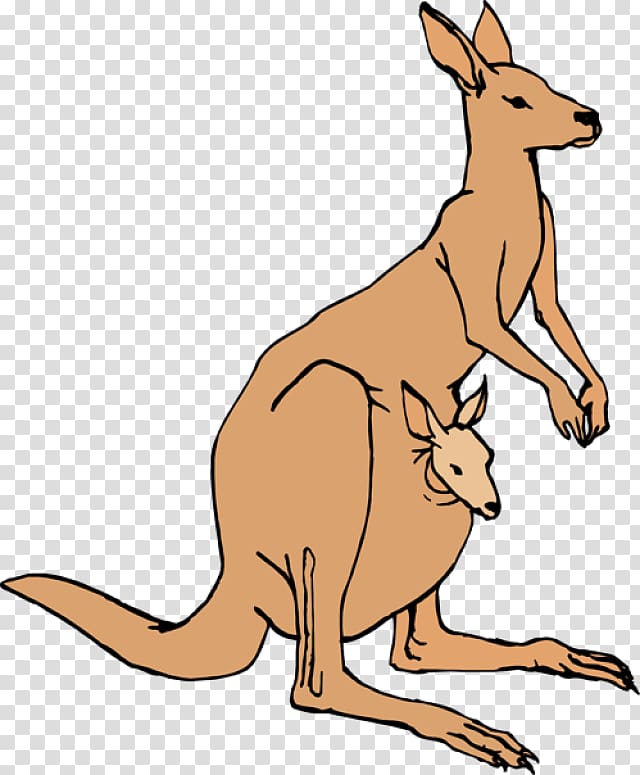 Kangaroo Free content Pouch , kangaroo transparent background PNG clipart