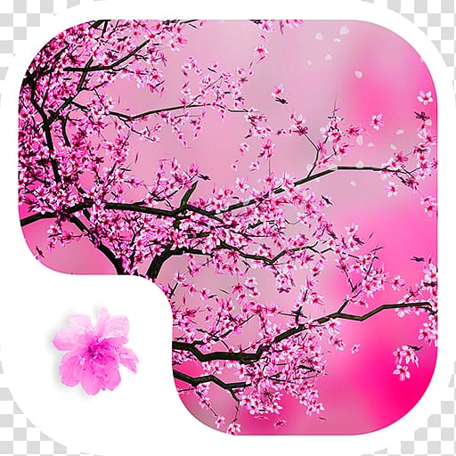 Cherry blossom Desktop Red Jigsaw Puzzle, cherry blossom transparent ...