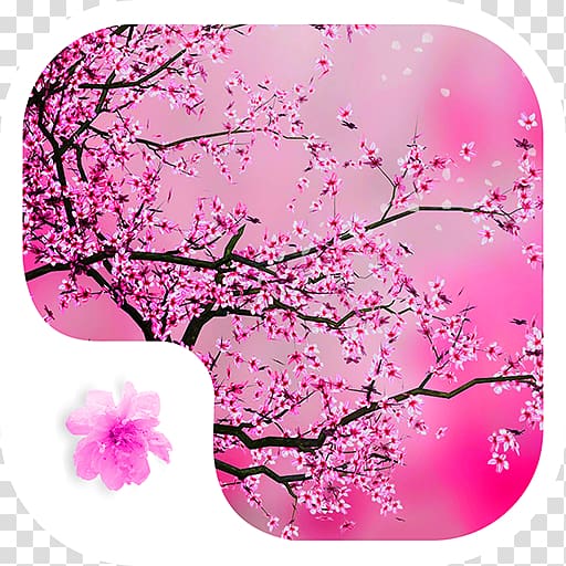 Cherry blossom Desktop Red Jigsaw Puzzle, cherry blossom transparent background PNG clipart