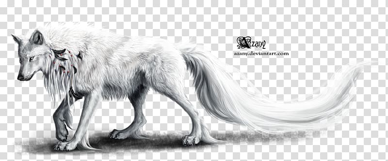 Black wolf Dog Arctic wolf Feather Desktop , wolf spirit transparent background PNG clipart