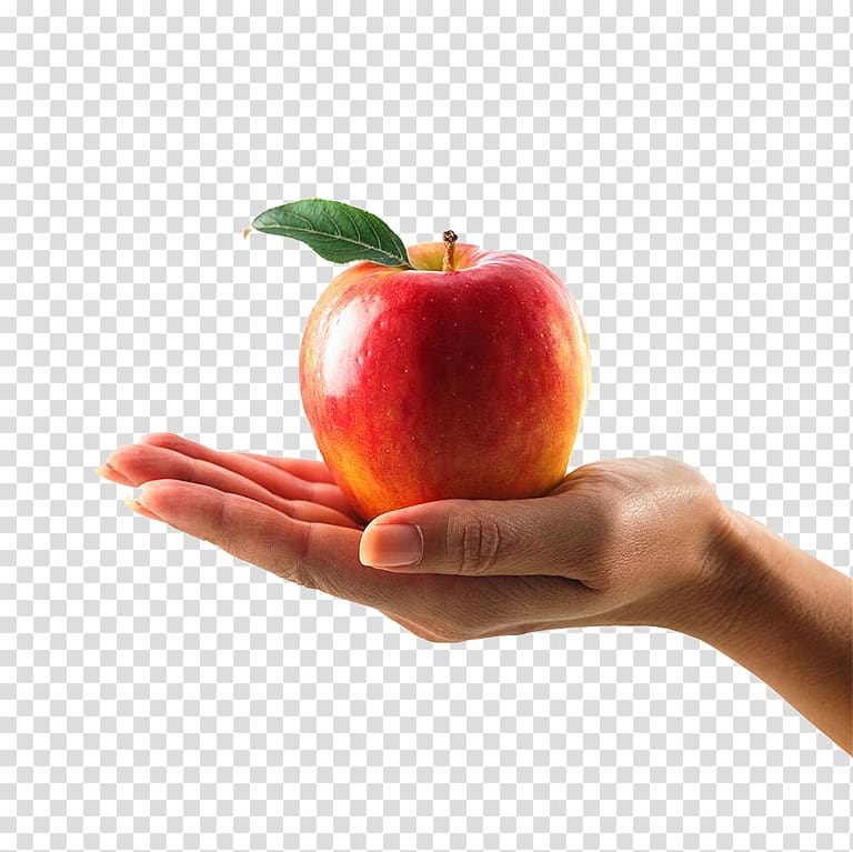 Physical exercise Weight loss Dieting Eating, Holding apple transparent background PNG clipart
