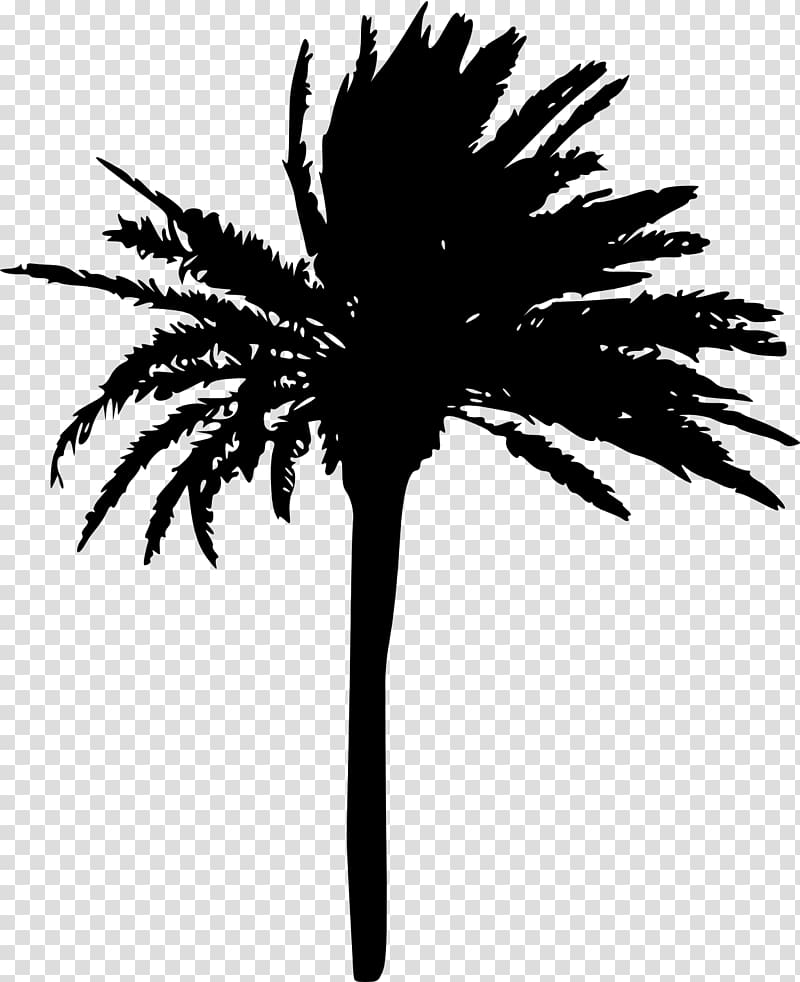 Arecaceae Tree Woody plant Sabal Palm, palm tree transparent background PNG clipart