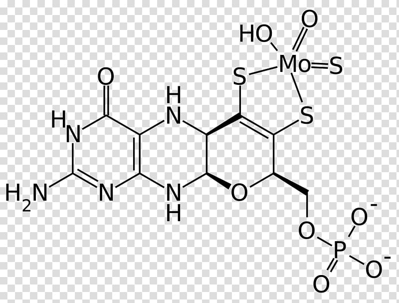 10-Formyltetrahydrofolate Tyrosine hydroxylase Chemistry Organic compound, others transparent background PNG clipart