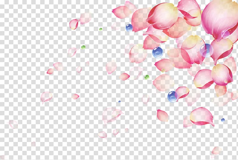Pink Petal Color, Sahua beautiful petal drops transparent background PNG clipart