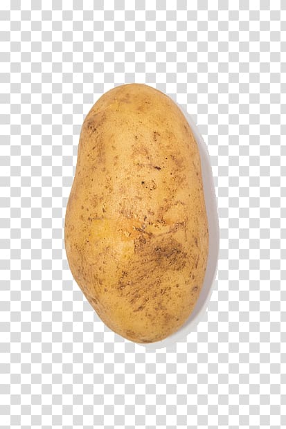 a potato transparent background PNG clipart