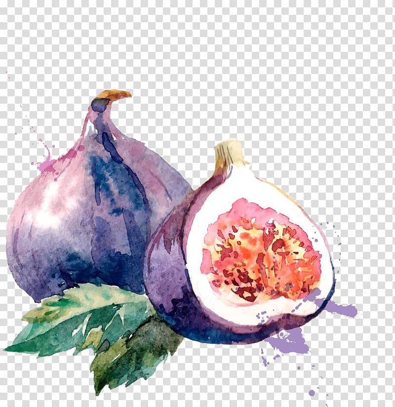 pomegranate fruit illustration, Common fig Watercolor painting Drawing Illustration, watercolor without melon and leaves transparent background PNG clipart