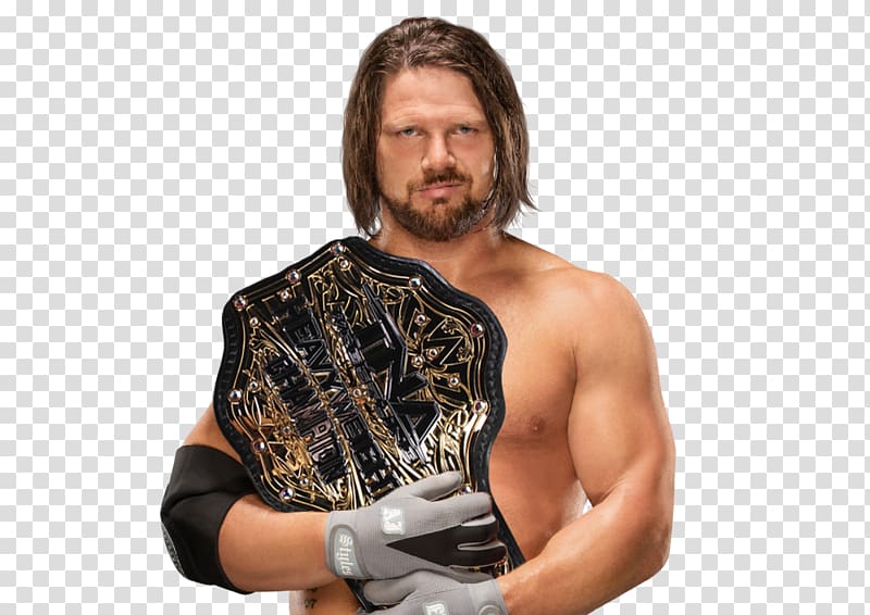 A.J. Styles WWE Championship WWE United States Championship Money in the Bank ladder match Impact World Championship, wwe transparent background PNG clipart