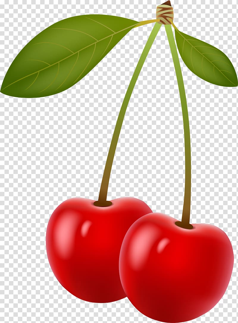 Cherry Berry , Red Fresh Sweet Cherry transparent background PNG clipart