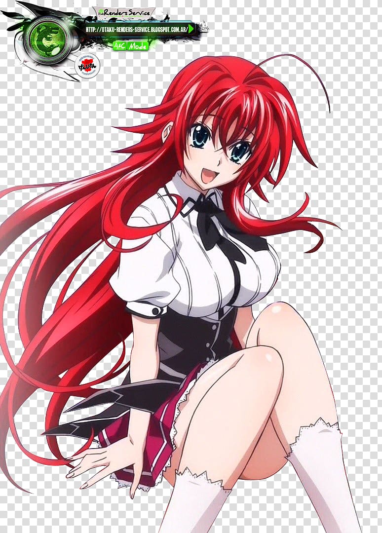 Rias Gremory High School DxD National Secondary School Anime, Anime transparent background PNG clipart