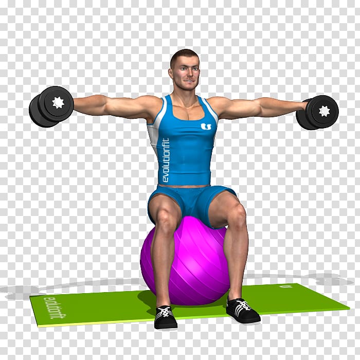 Weight training Shoulder Exercise Balls Deltoid muscle BodyPump, shoulders dumbbell exercises transparent background PNG clipart