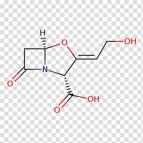 Alendronic acid Clavulanic acid Beta-lactamase β-Lactamase inhibitor β-lactam antibiotic, tablet transparent background PNG clipart