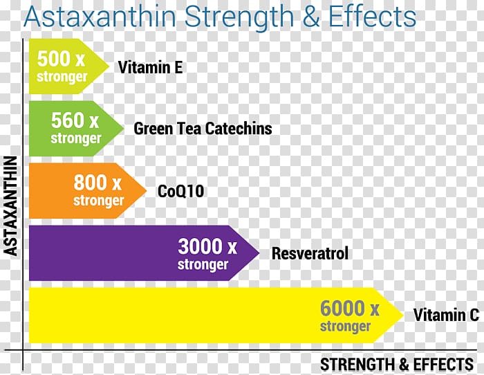 Antioxidant Astaxanthin Resveratrol Tupperware Brands Web page, tupperware logo transparent background PNG clipart