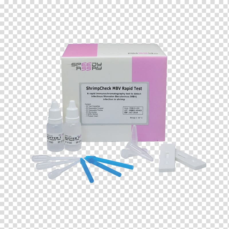 Rapid diagnostic test Real-time polymerase chain reaction DNA extraction, asia transparent background PNG clipart