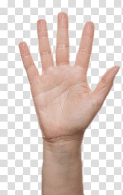 human left hand, Finger Counting Five Copy transparent background PNG clipart