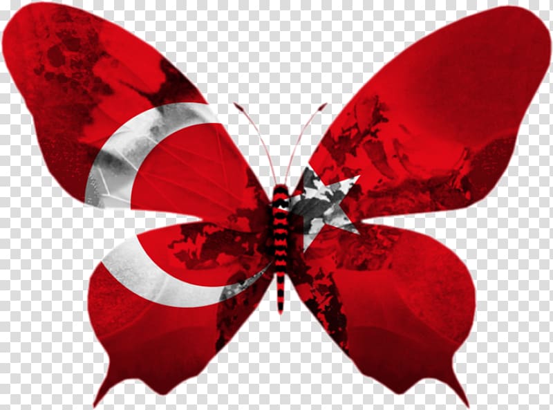 Flag of Turkey Agar.io Eurovision Song Contest Flag of Portugal, sosyal transparent background PNG clipart