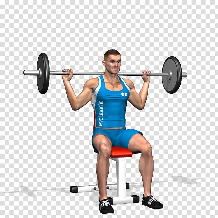 Powerlifting Barbell Squat Weight training Exercise, dumbbell shoulder press transparent background PNG clipart