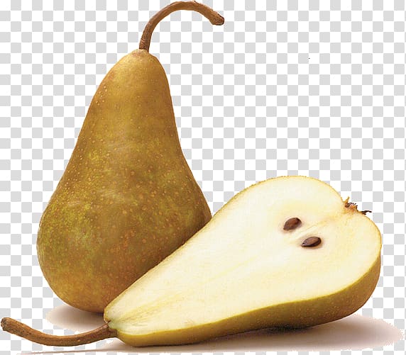 Bosc pear Asian pear D\'Anjou Fruit Shipova, others transparent background PNG clipart