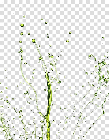 green splash of water droplets transparent background PNG clipart