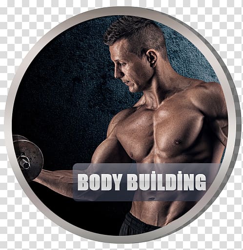 Exercise Physical fitness Weight training Weight loss Bodybuilding, body build transparent background PNG clipart