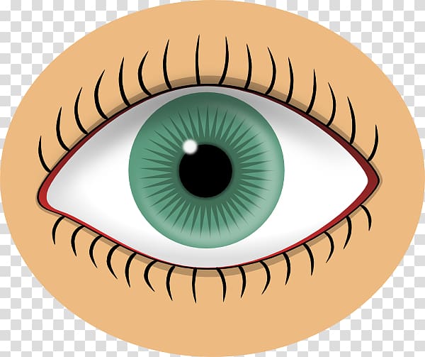Human eye Iris , Eye Art Clip transparent background PNG clipart