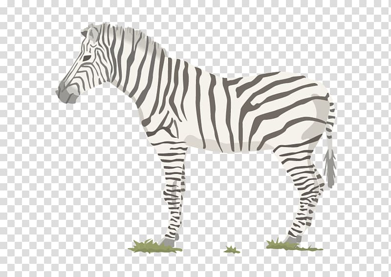 Zebra Food chain Food web Trophic level, zebra transparent background PNG clipart