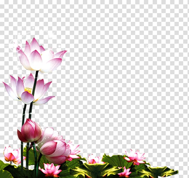 white-and-pink lotus flower illustration, Mooncake Mid-Autumn Festival POP, Lotus Lotus transparent background PNG clipart