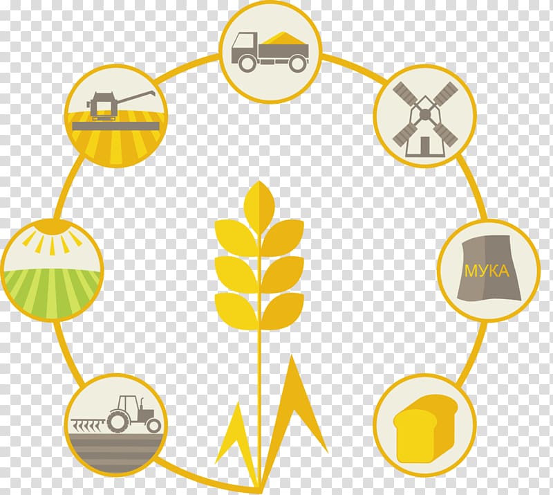 Cereal Agriculture Wheat Oat, timeline transparent background PNG clipart