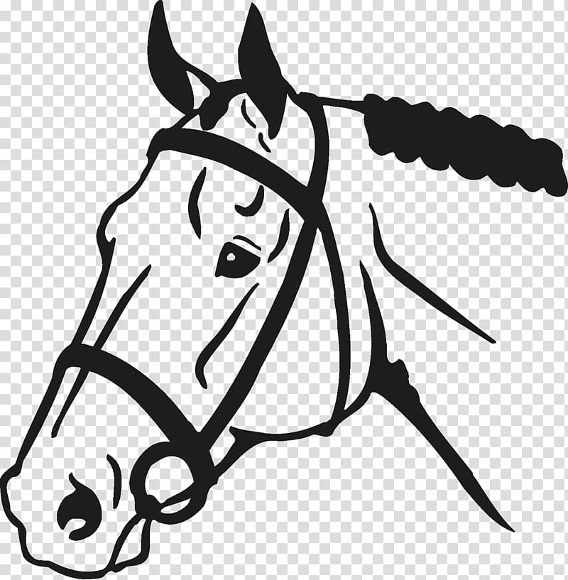 Horse Impact Expressions Equestrian Foal Colt, horse head transparent background PNG clipart