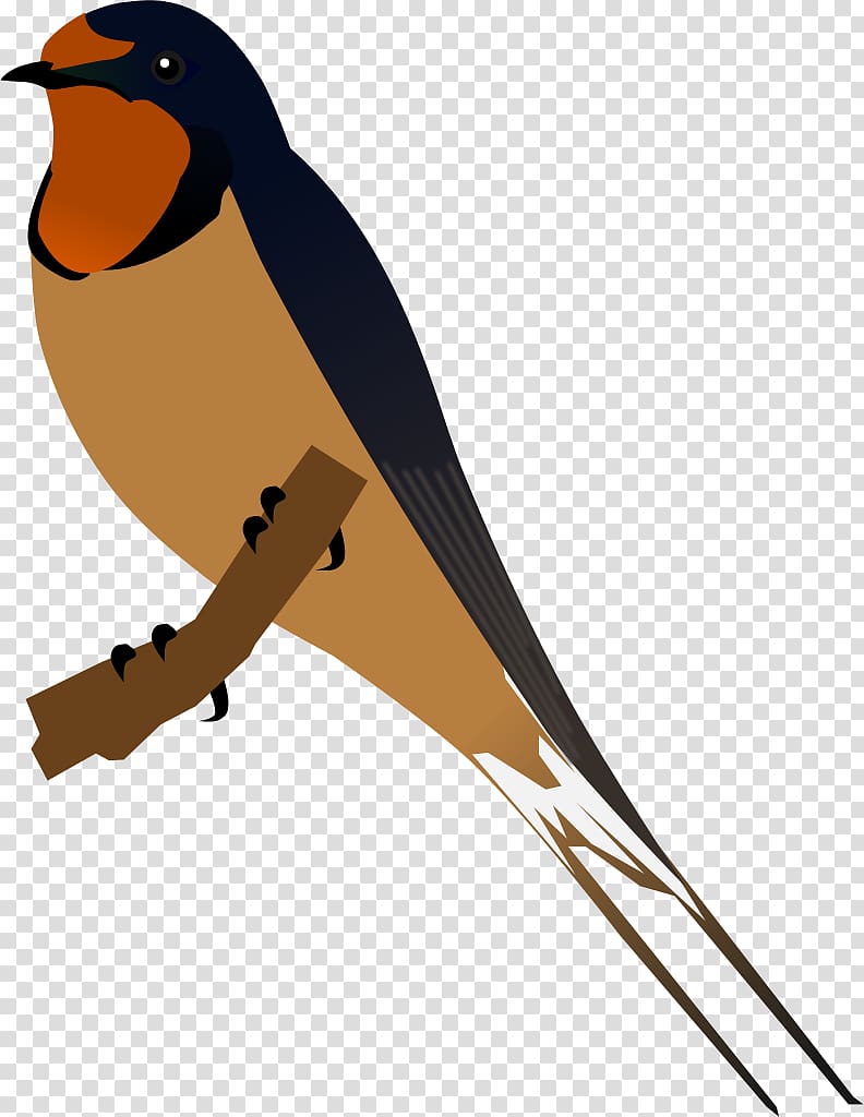 Swallow Bird , barn transparent background PNG clipart