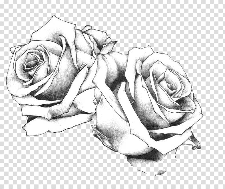 white rose tattoo drawing