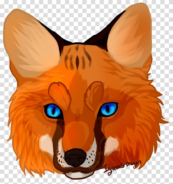 Red fox Whiskers , Fox Face transparent background PNG clipart