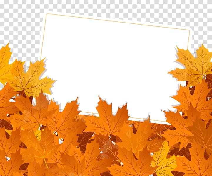 maple leaf illustration, Autumn leaf color , Autumn material transparent background PNG clipart