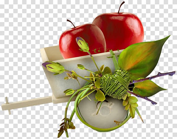 Apple Auglis, Two apples transparent background PNG clipart