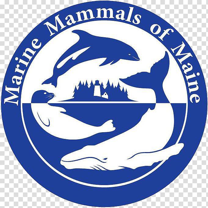 Marine Mammal Protection Act British Divers Marine Life Rescue Animal, whale transparent background PNG clipart