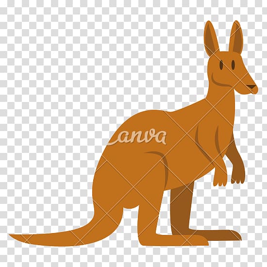 Kangaroo Red fox Macropodidae Cartoon, kangaroo transparent background PNG clipart