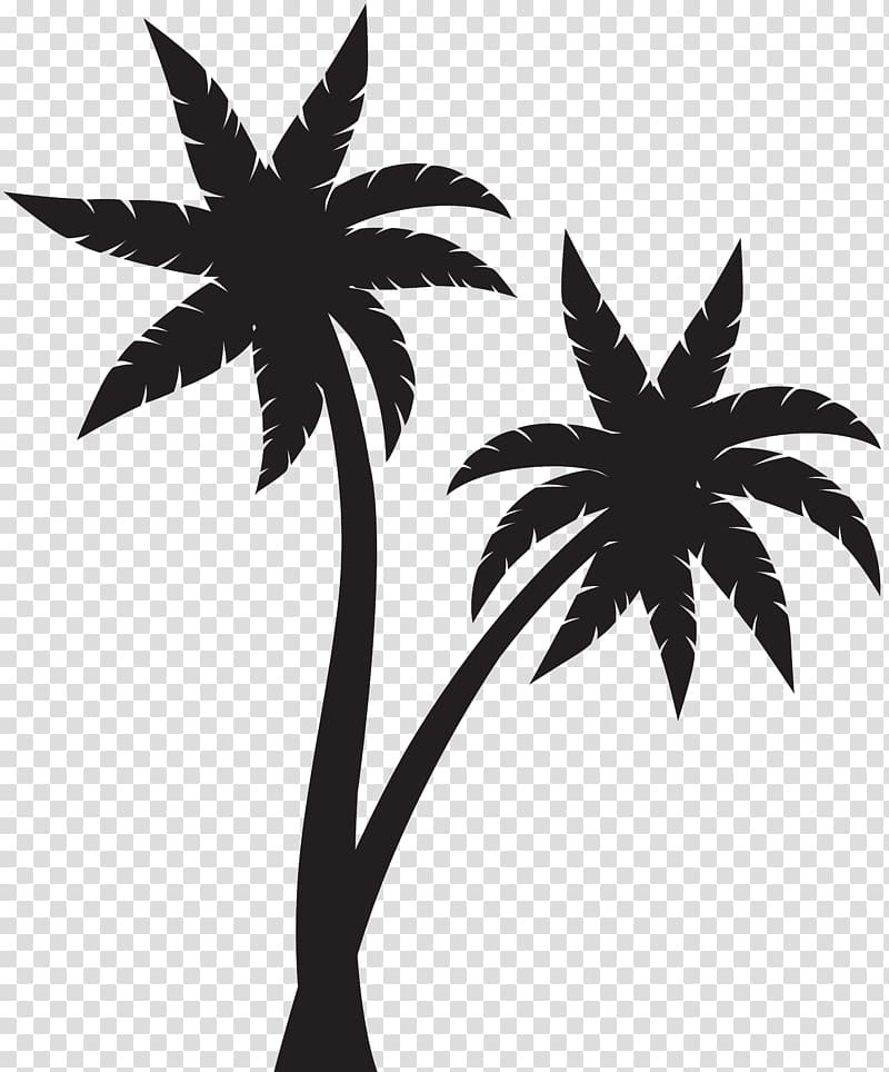 Silhouette of two black coconut trees, Arecaceae Silhouette , Palms ...