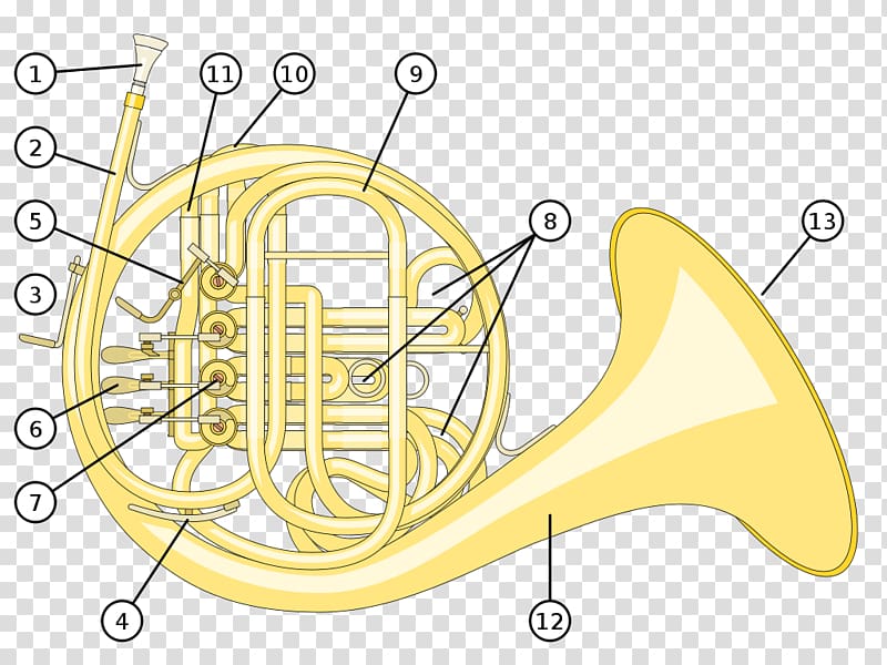 French Horns Natural horn Musical Instruments Brass Instruments German horn, musical instruments transparent background PNG clipart