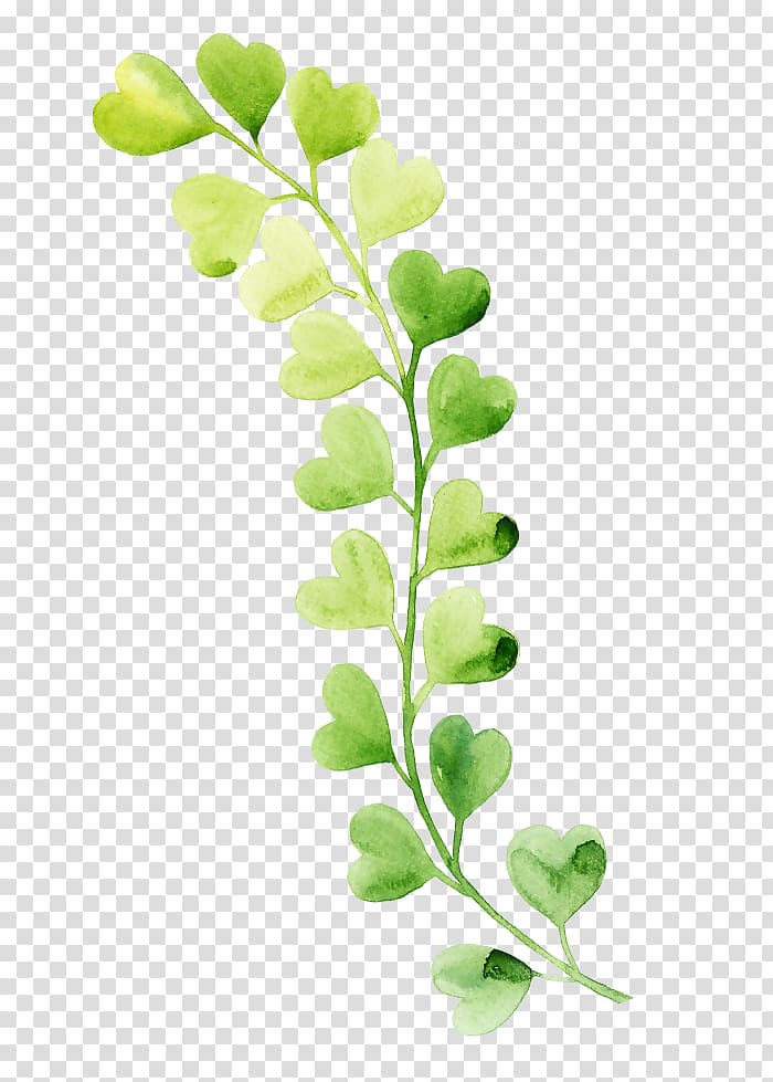 Leaf Heart Plant stem, Leaf transparent background PNG clipart