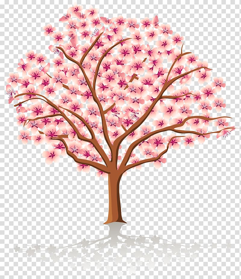 Spring Tree Blossom , Spring Tree , cherry blossom tree transparent background PNG clipart